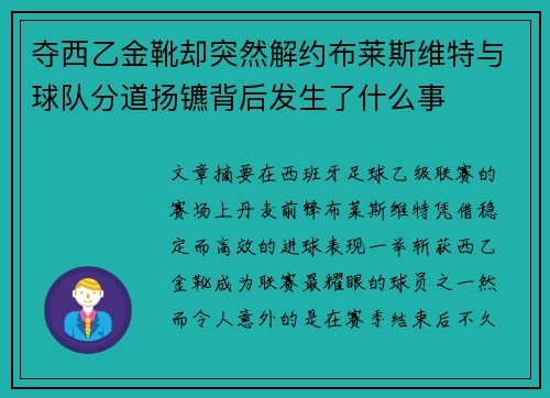 夺西乙金靴却突然解约布莱斯维特与球队分道扬镳背后发生了什么事 夺西乙金靴却突然解约布莱斯维特与球队分道扬镳背后发生了什么事