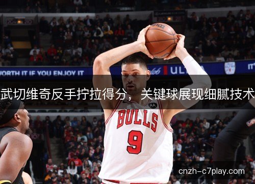 武切维奇反手拧拉得分,关键球展现细腻技术 武切维奇反手拧拉得分,关键球展现细腻技术